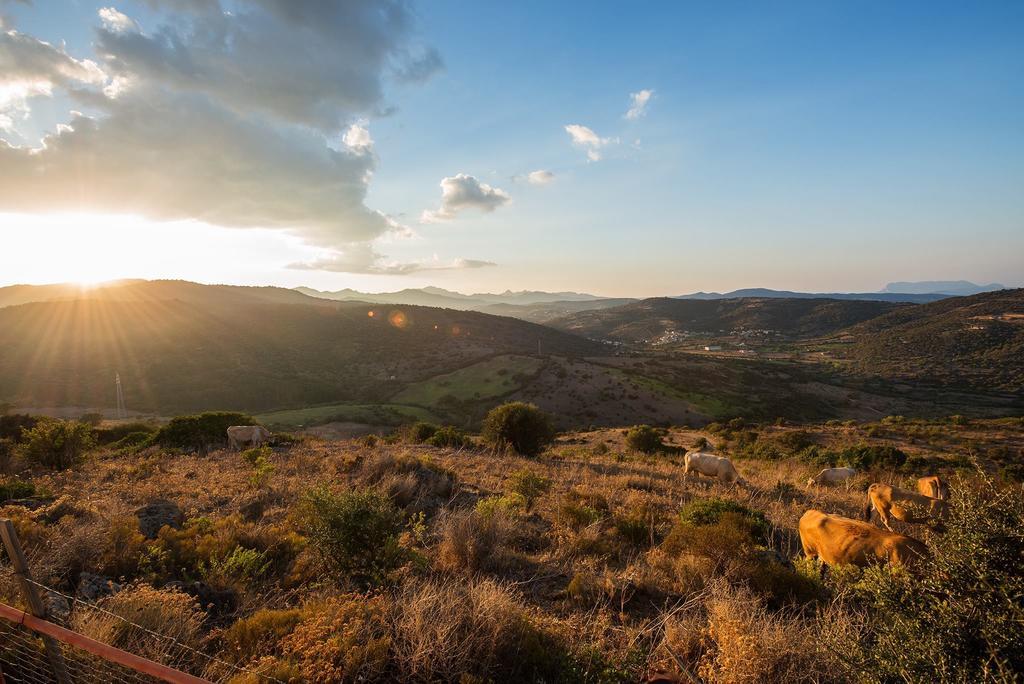 Agriturismo Irghitula Posada  Luaran gambar